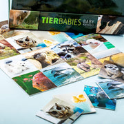 Remember Memory - Baby Dieren
