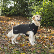 Scruffs Thermal Warme Hondenjas - Zwart - XXL 65 cm