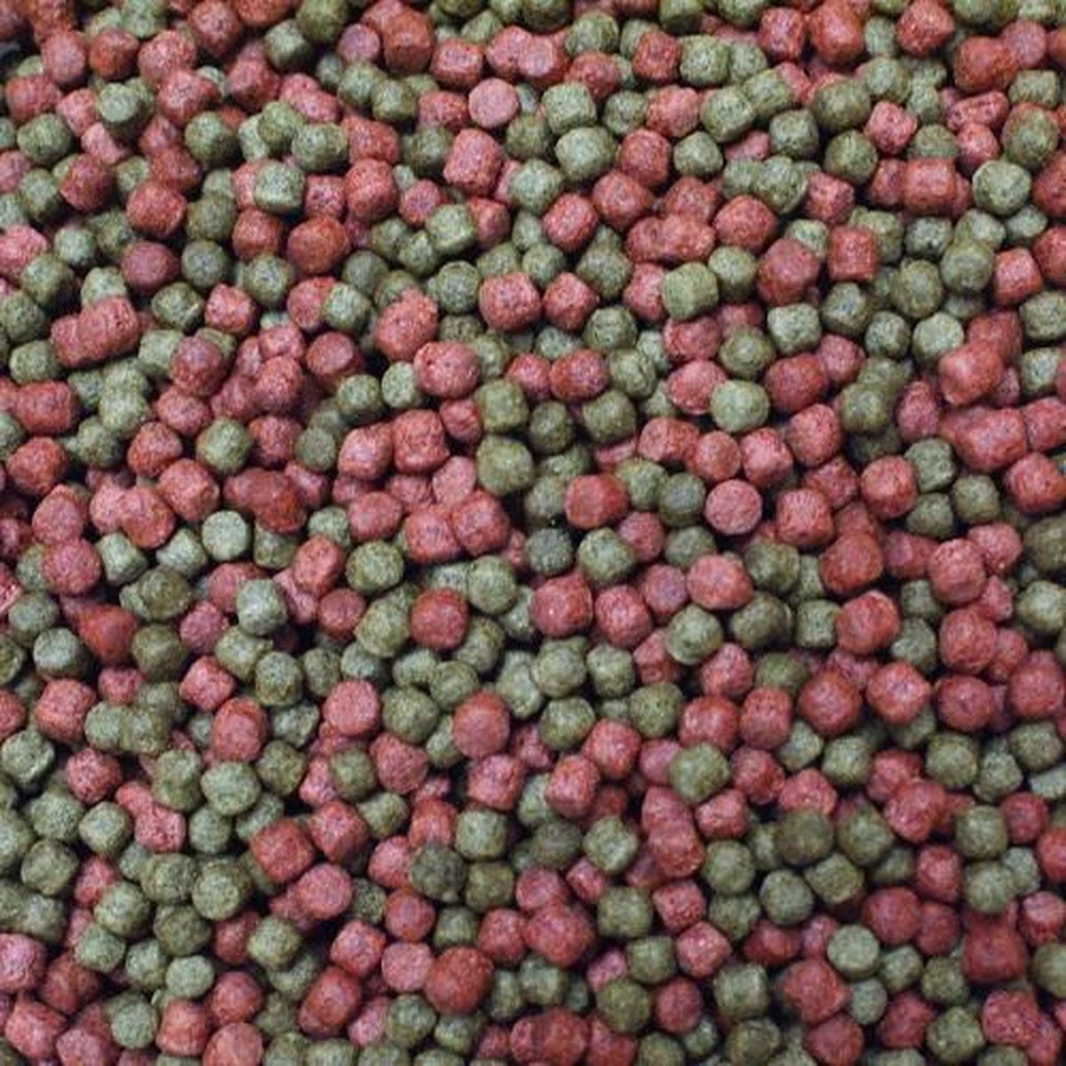Duo Colour (4KG) - Koivoer