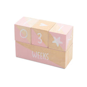 Jollein Mijlpaalblokkenset 4-delig - Roze & Beige