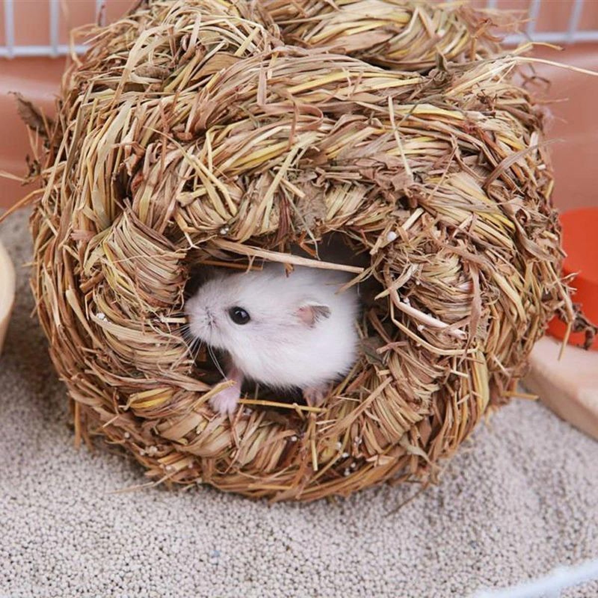 Dierplezier - Knaagdier natuurlijk holletje - Knaagdier hol - Hamster bol natuurlijk 10 cm  - knaagdier slaapplek - Slaaphuis knaagdier- Slaaphol knaagdieren