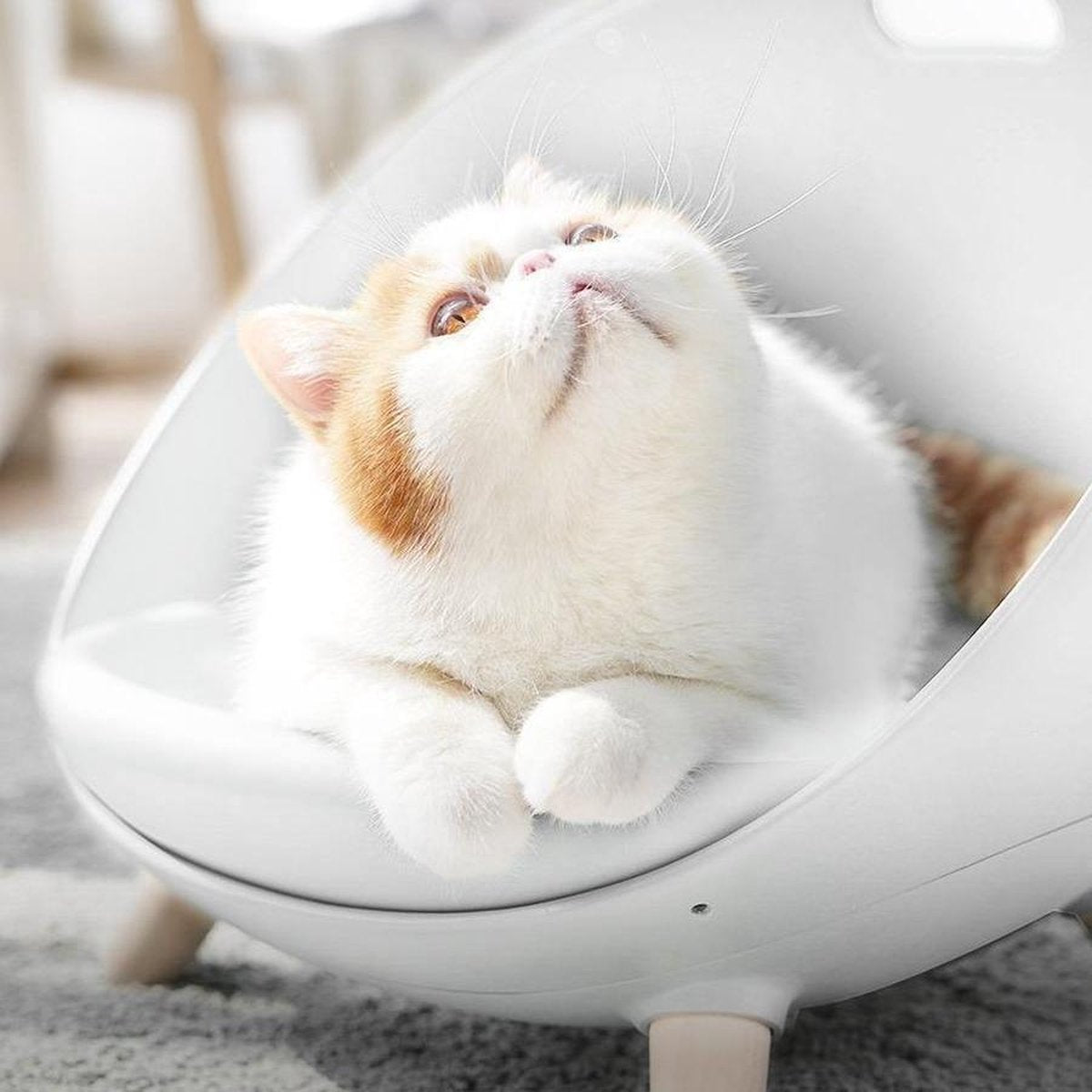 MS - Kattenmand - Design Kattenmand - Luxe Kattenmand - Multifunctionele Kattenmand 4 In 1 - Kattenbed - Wit