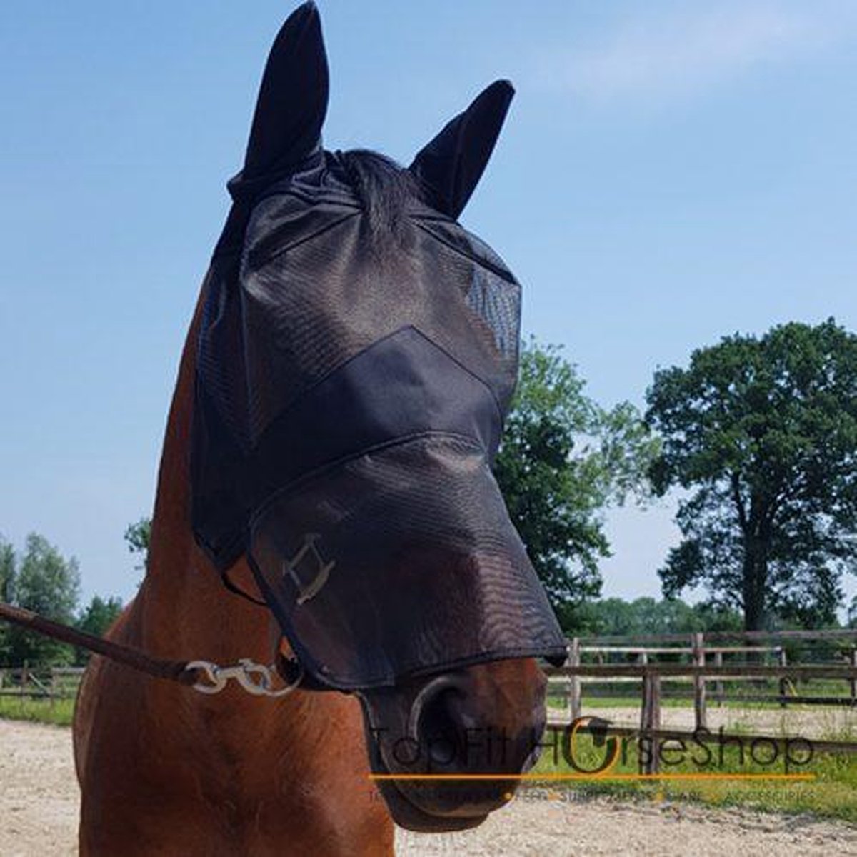 Pfiff vliegenmasker met neusbeschermer mt Pony/Cob