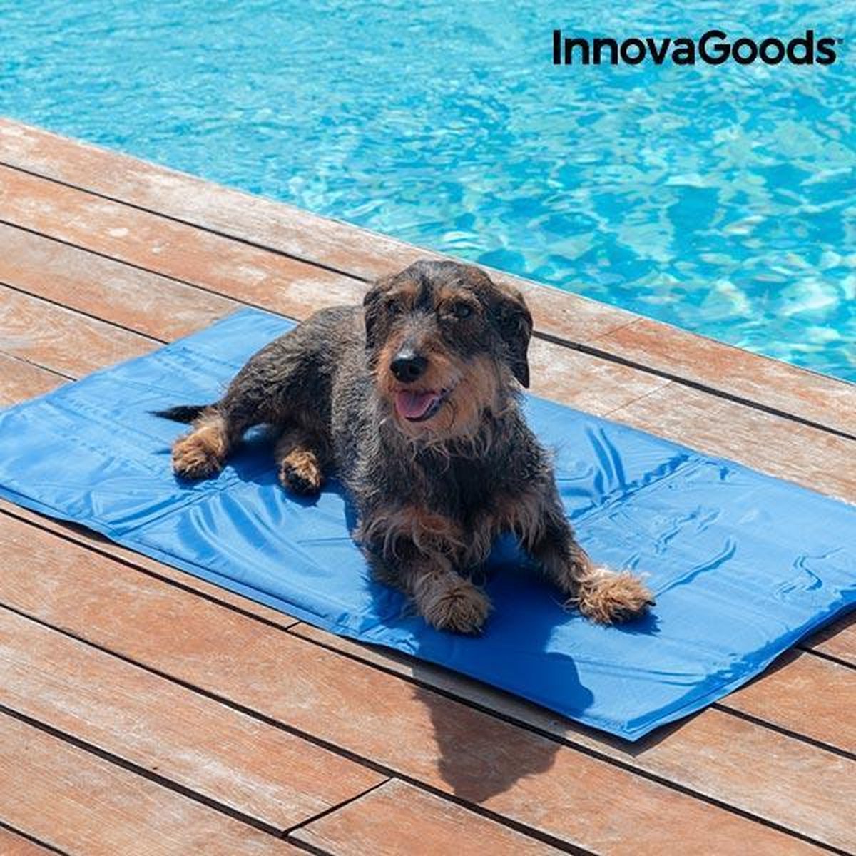 INNOVAGOODS KOELMAT VOOR HUISDIEREN - Koelmat hond 90 x 50 - Koelmat hond - koelmat - koelmat honden - cool dog koelmat