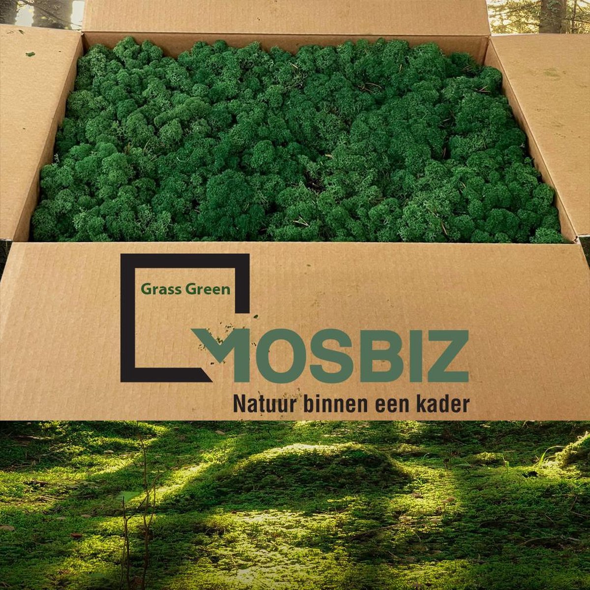 MosBiz Rendiermos Grass green 2 laags (2