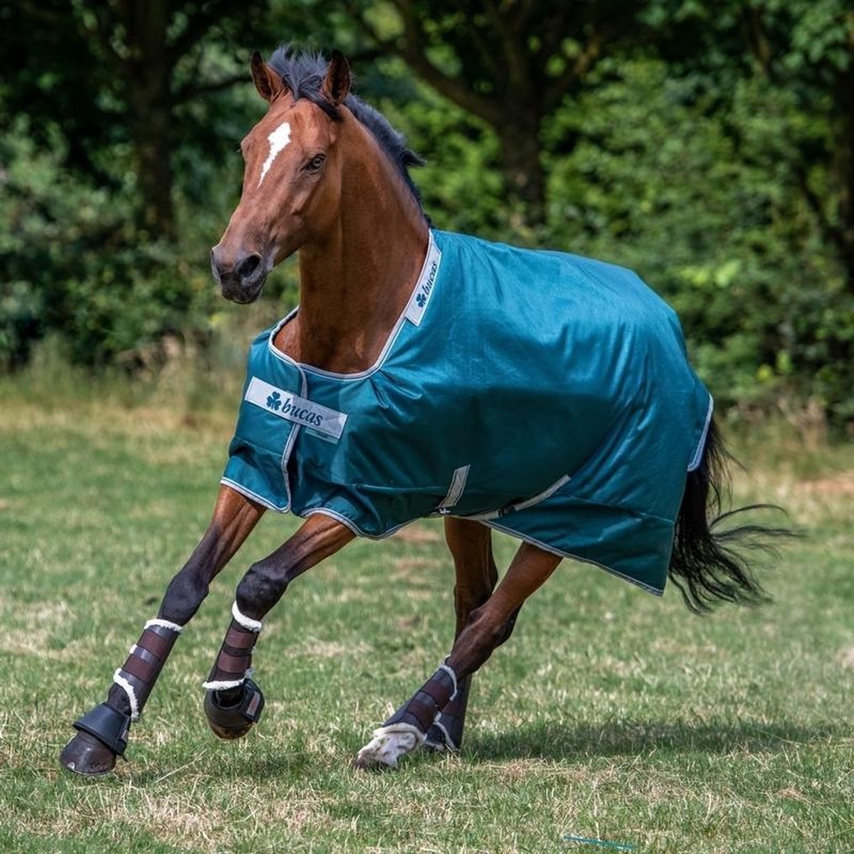 Bucas Atlantic Turnout 200g 137 Groen