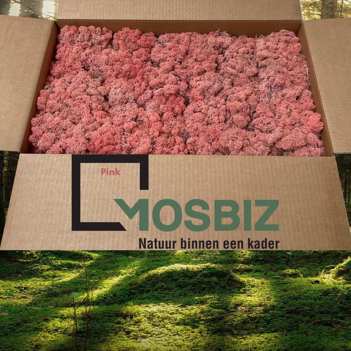 MosBiz Rendiermos Pink 2 laags (2
