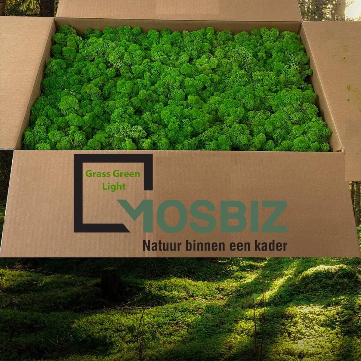 MosBiz Rendiermos Grass green light 2 laags (2