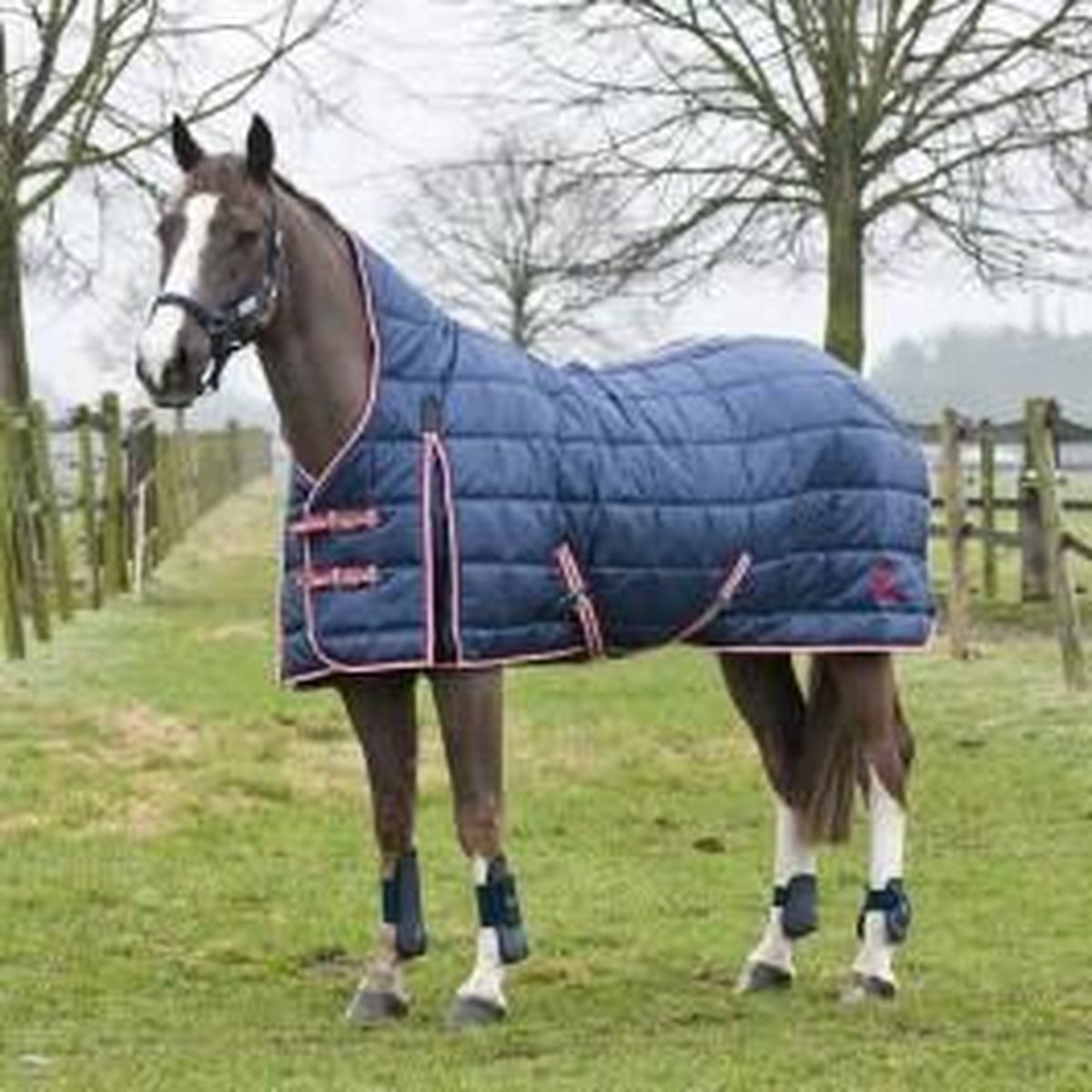 Avalanche Staldeken Eclipse 205 Horze