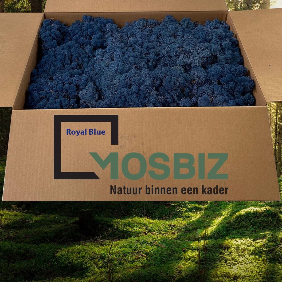 MosBiz Rendiermos Royal blue 2 laags (2