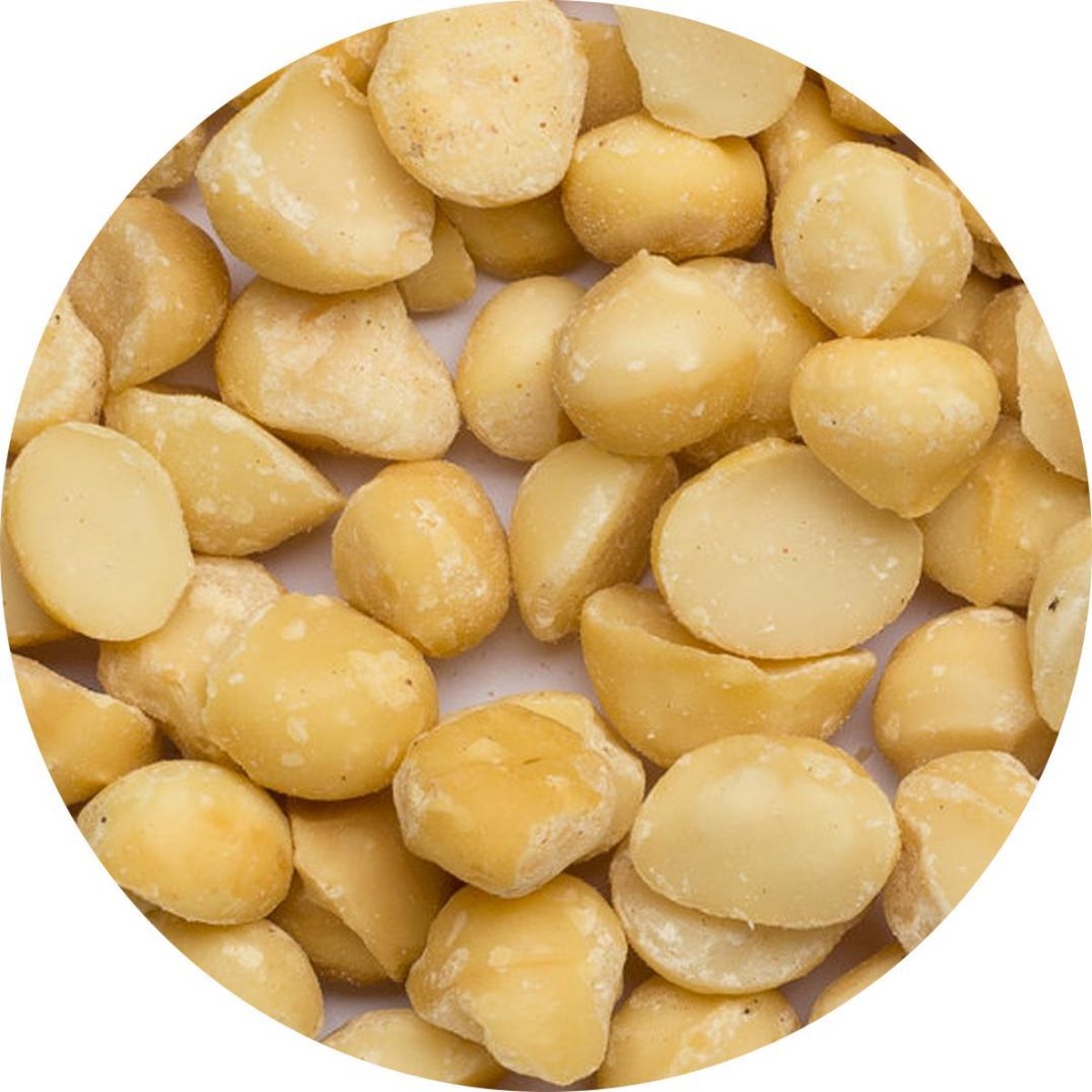 Macadamia noten Raw - 1 Kg - Holyflavours -  Biologisch gecertificeerd