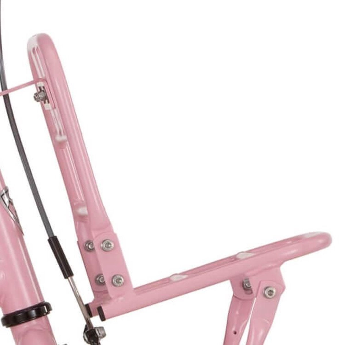 Alpina Alp v drager 18 Cargo light pink met matt