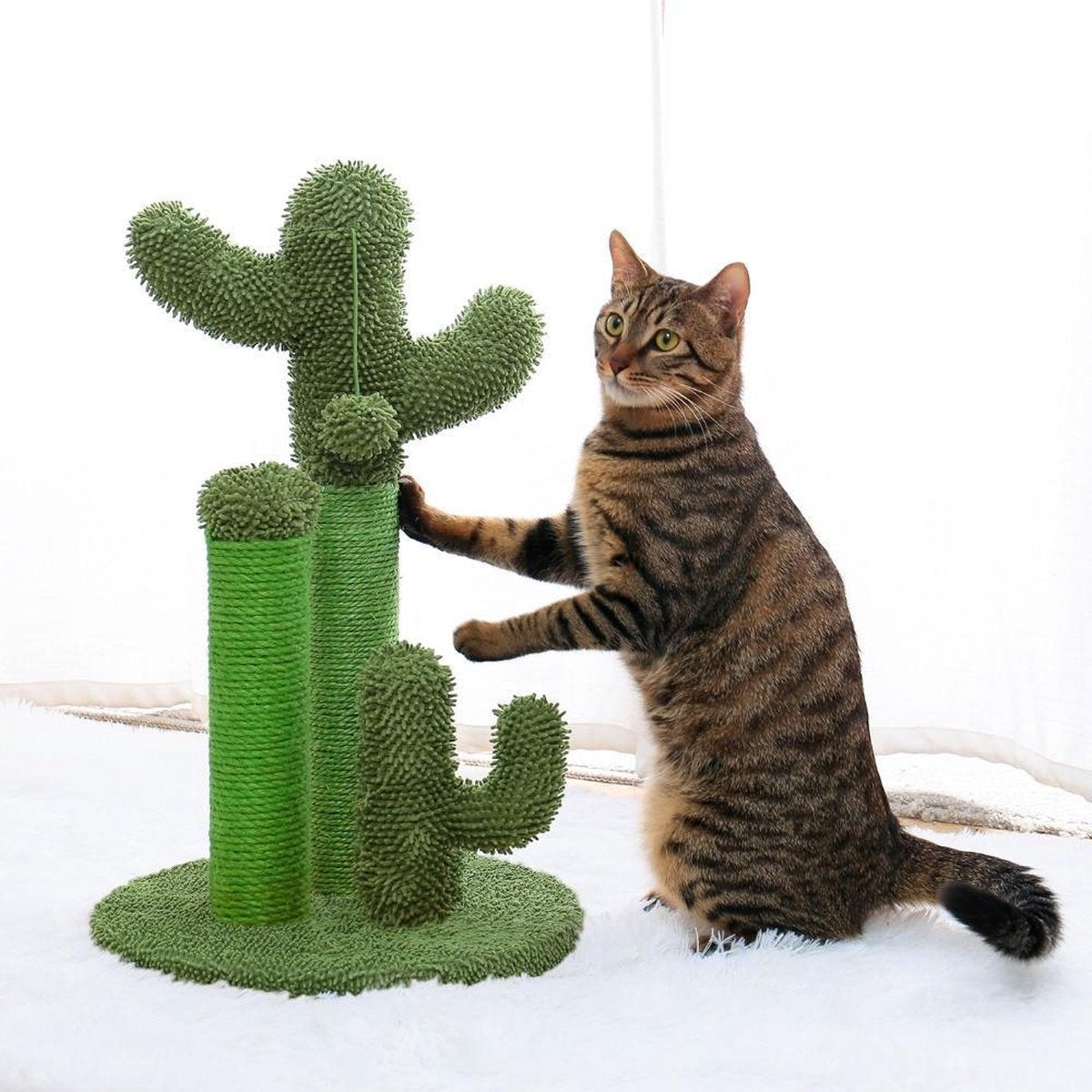 Baymate Leuke Cactus Huisdier Krabpaal Speelgoed met Bal Krabpalen voor Katten Kitten Klimmen Boom Kat Speelgoed Beschermen Meubels AMT0066BN M