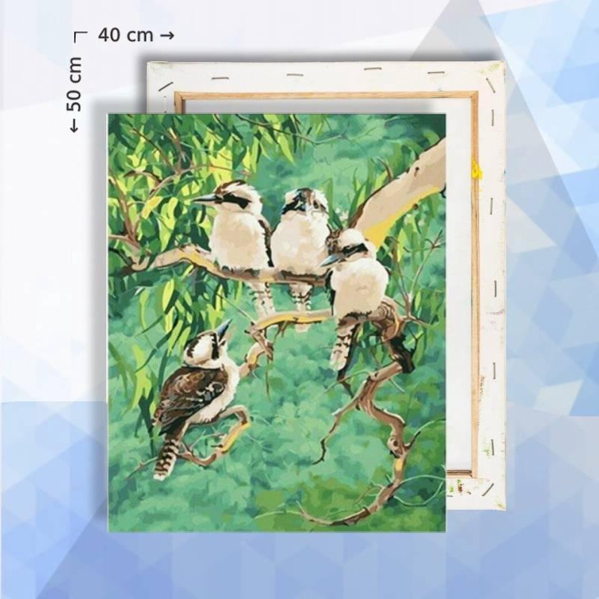 Schilderen Op Nummer Pakket Vier Vogels op tak blauw - 40 x 50 cm - met frame