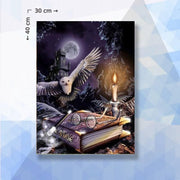 Diamond Painting Pakket Harry Potter - ronde steentjes - 30 x 40 cm