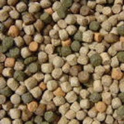Vivani Japanse Mix 3mm 15kg