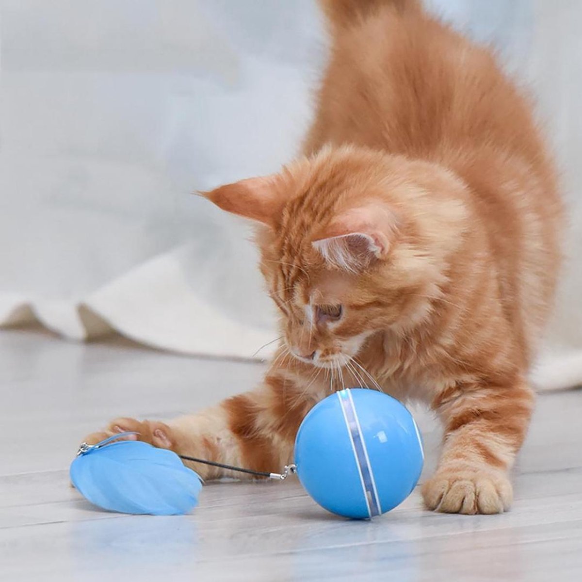 LaBi Speelgoed - Kat- Hond - Interactief Rollende Bal - Led - USB - Blauw