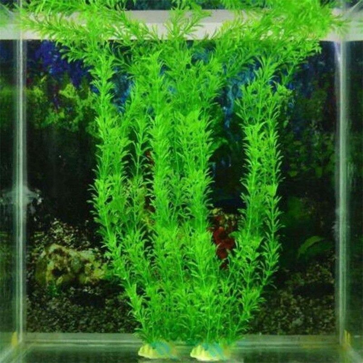 Dierplezier - Aquarium decoratie - Koraal - Kunstplant Aquarium Fluo - Planten voor aquarium - Mooie neon planten –Planten groen - Aquariumdecoratie - Aquariumversiering - Benodigdheden aquarium – 37 cm x 11cm