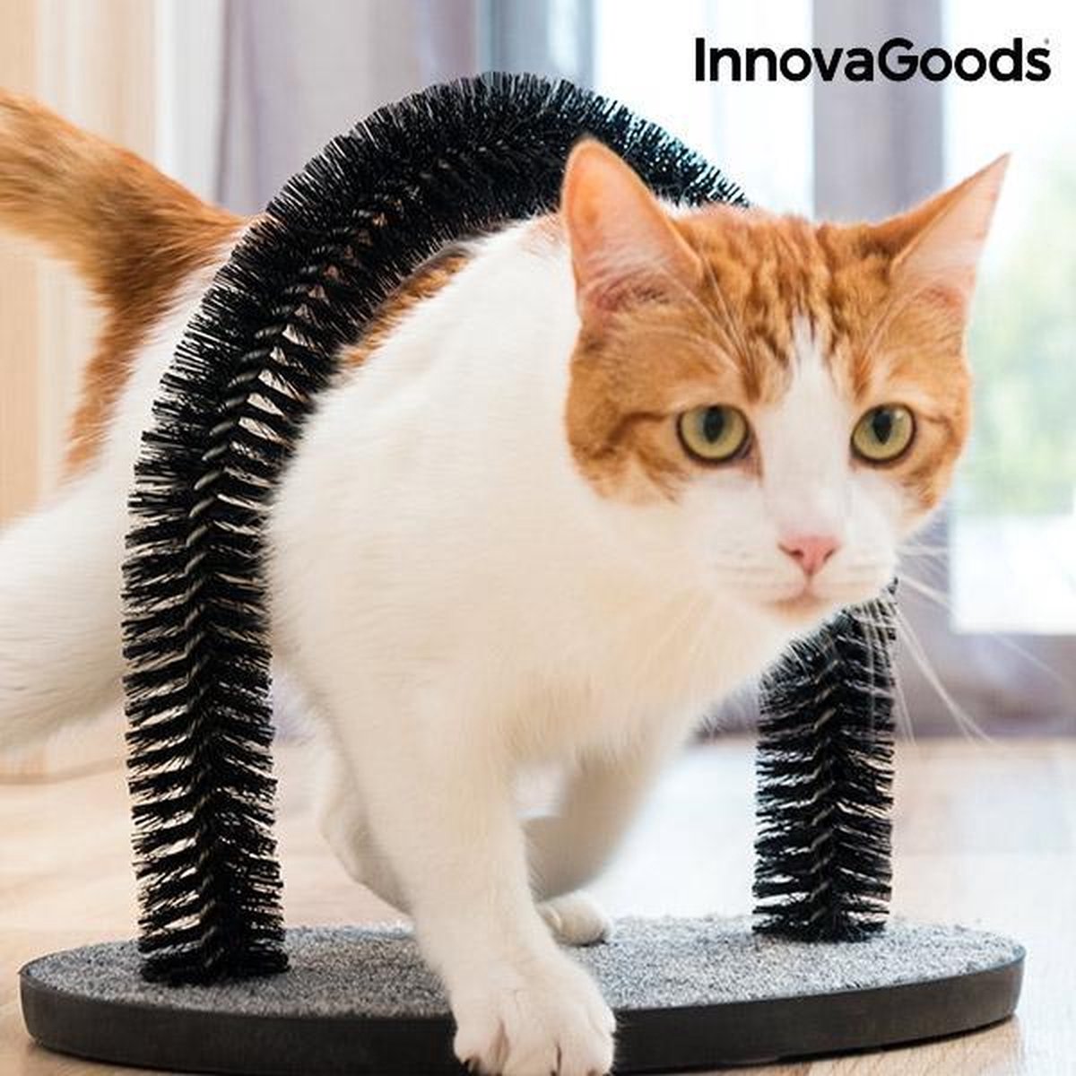 InnovaGoods Krabpaal en Massageboog voor Katten