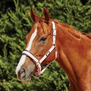RelaxPets - Weatherbeeta - Halster - Roma - Kopstuk en Neusriem Zacht Onderlegd - 2 Punten Verstelbaar - Full - Peach