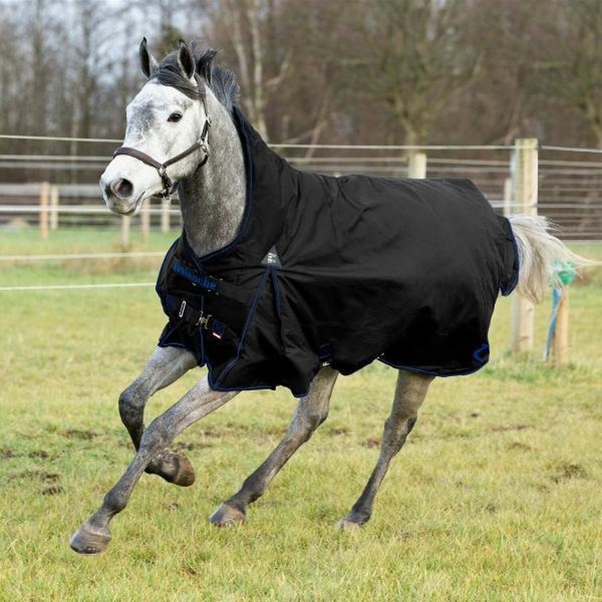 Avalanche 1200D Paardendeken Hoge Hals Medium 150gr