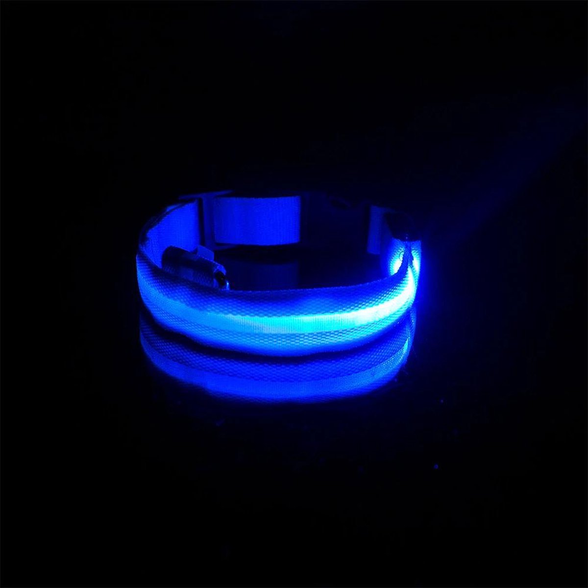Lichtgevende halsband voor honden - Blauwe led - 45-52 cm omvang - Veilige halsband met blauw led licht - USB oplaadbaar - Incl USB kabel