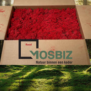 MosBiz Rendiermos Rood 2 laags (2