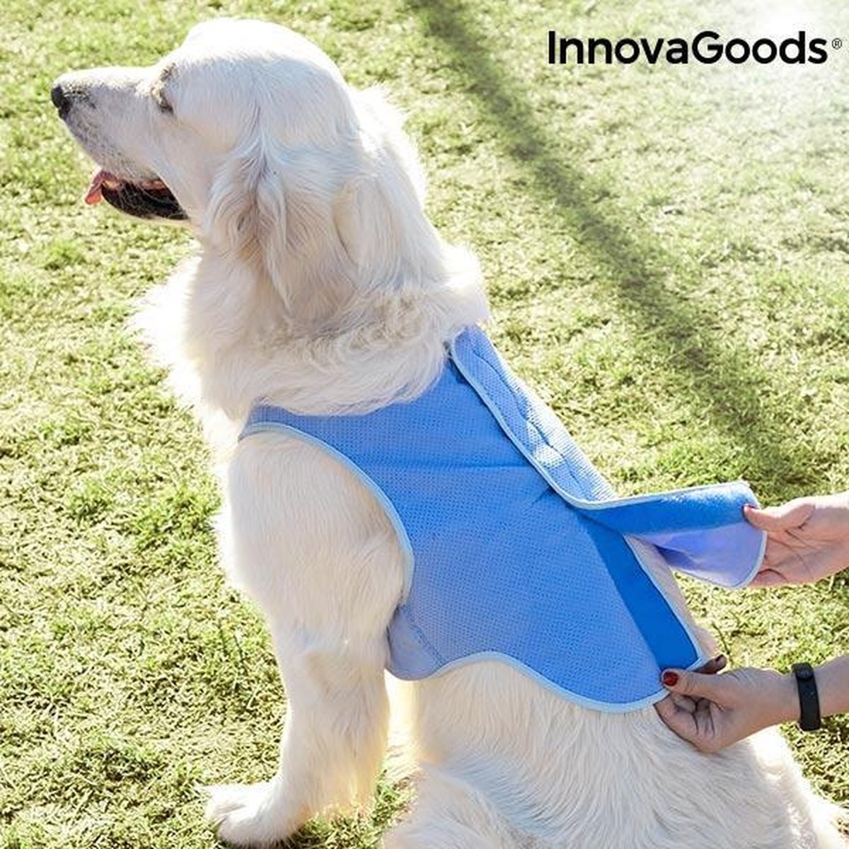Verkoelend vest hond - Verkoeling hond - Koel hond - Verkoeling voor honden