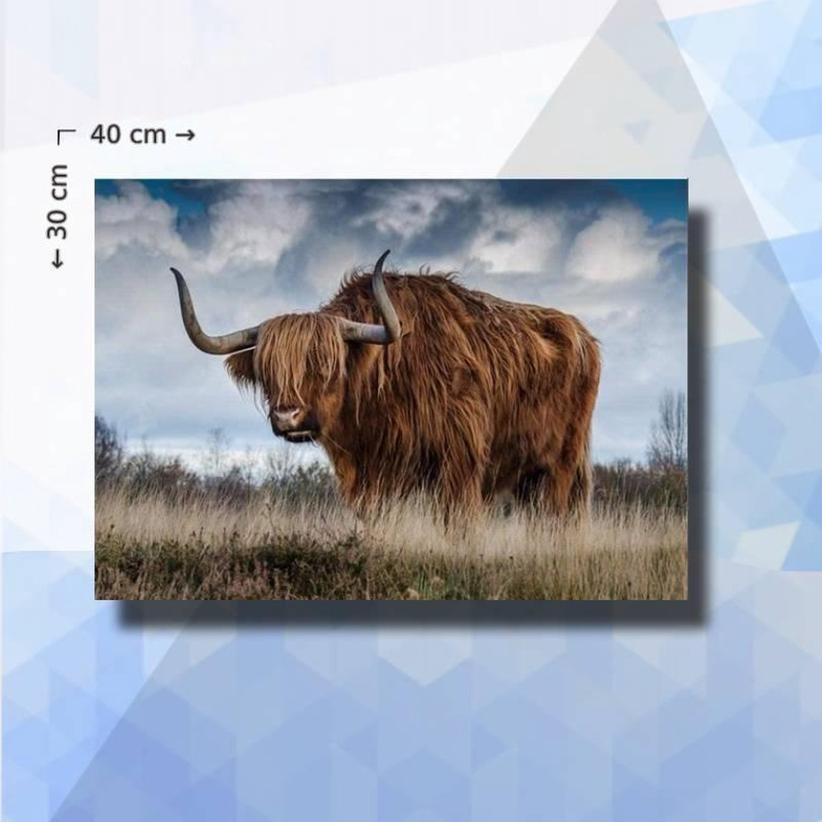 Diamond Painting Pakket Schotse Hooglander Zijkant - vierkante steentjes - 40 x 30 cm