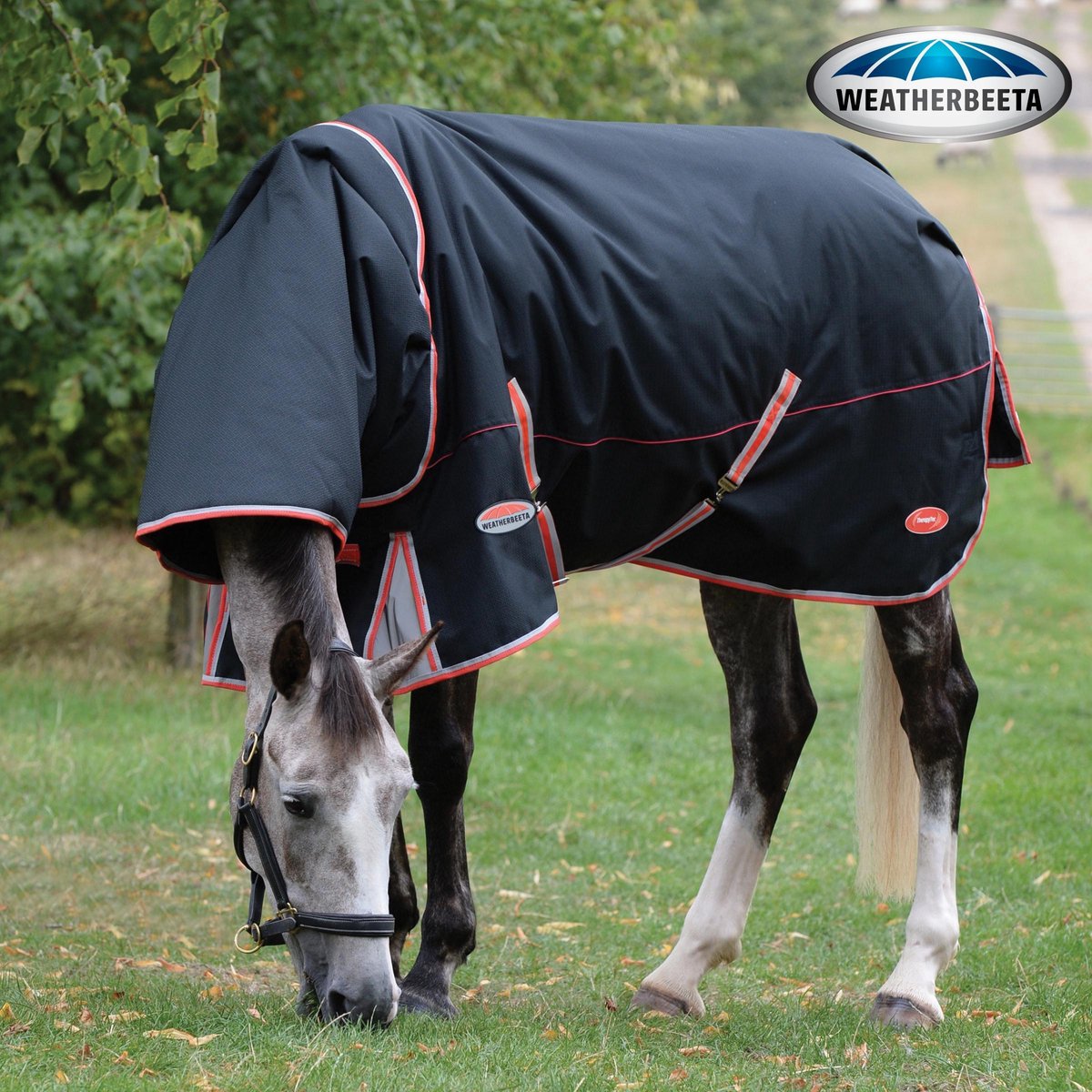 RelaxPets - Weatherbeeta - TherapyTec - ComFiTec Premier - Inclusief Afneembare Hals - 220 Gram - 1000 Denier - 195 cm