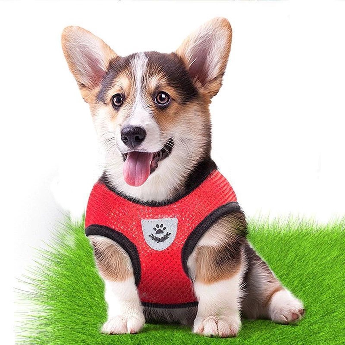 Honden Tuig- katten tuig-Kattenharnas-kattentuigje -kattentuigje met looplijn-Geschikt voor Honden en Grote Katten Maat M-  Rood