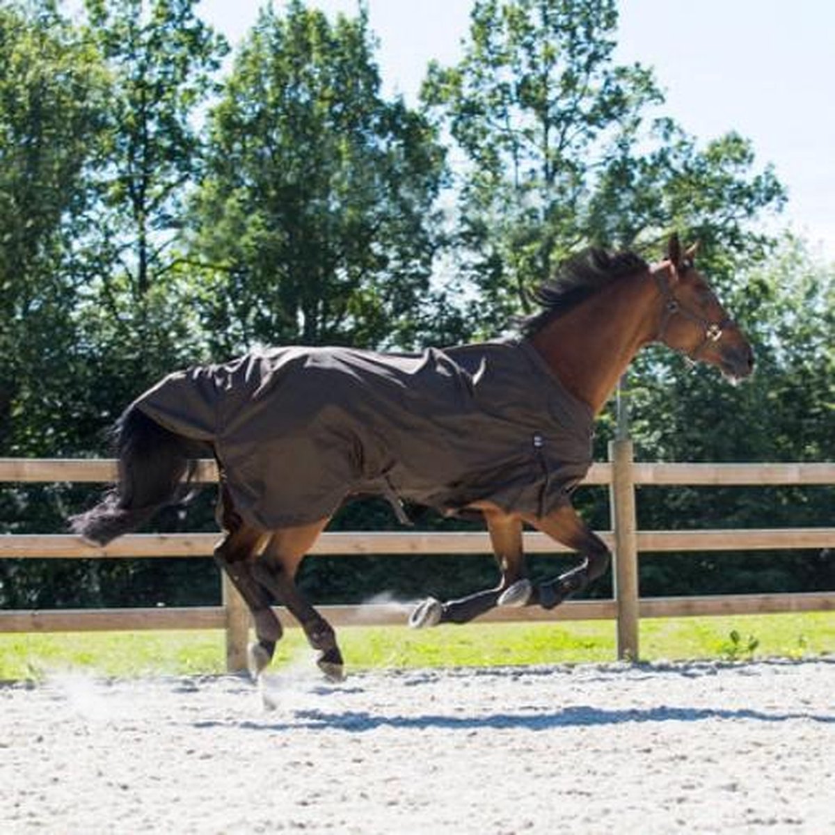 Crescendo Holbrook Regendeken Donkerbruin 195 Horze