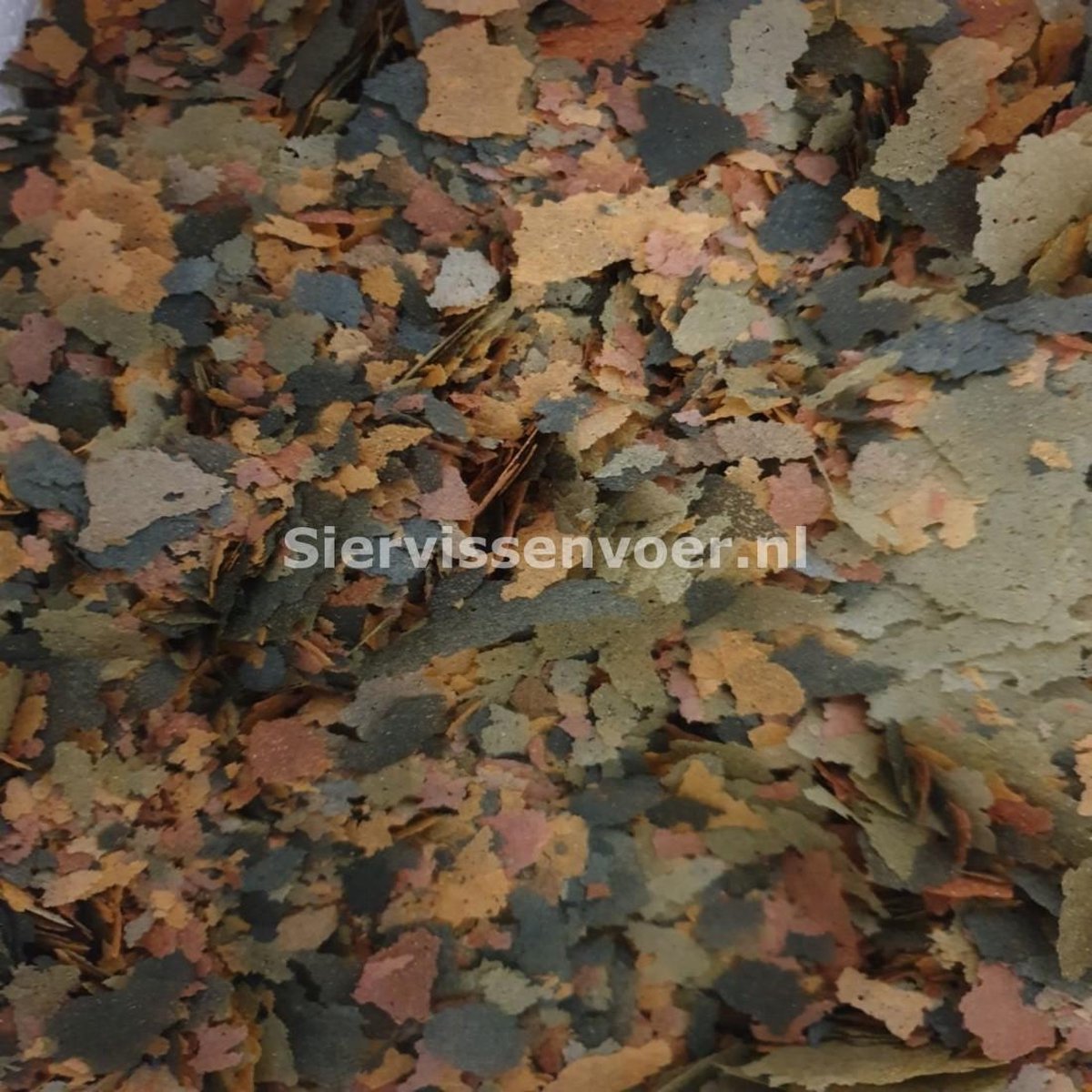 Tanganyika cichliden vlokken