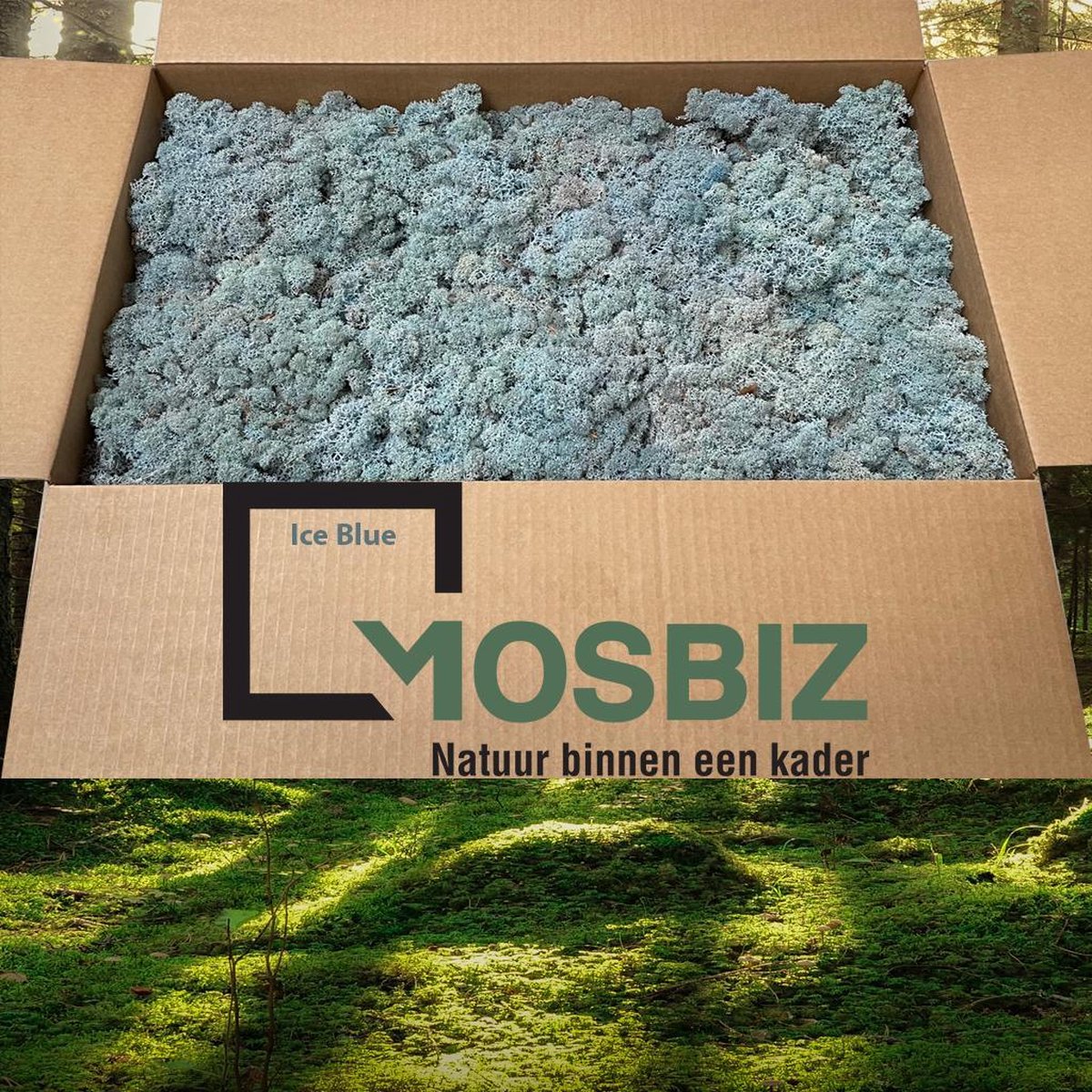 MosBiz Rendiermos Ice blue 2 laags (2