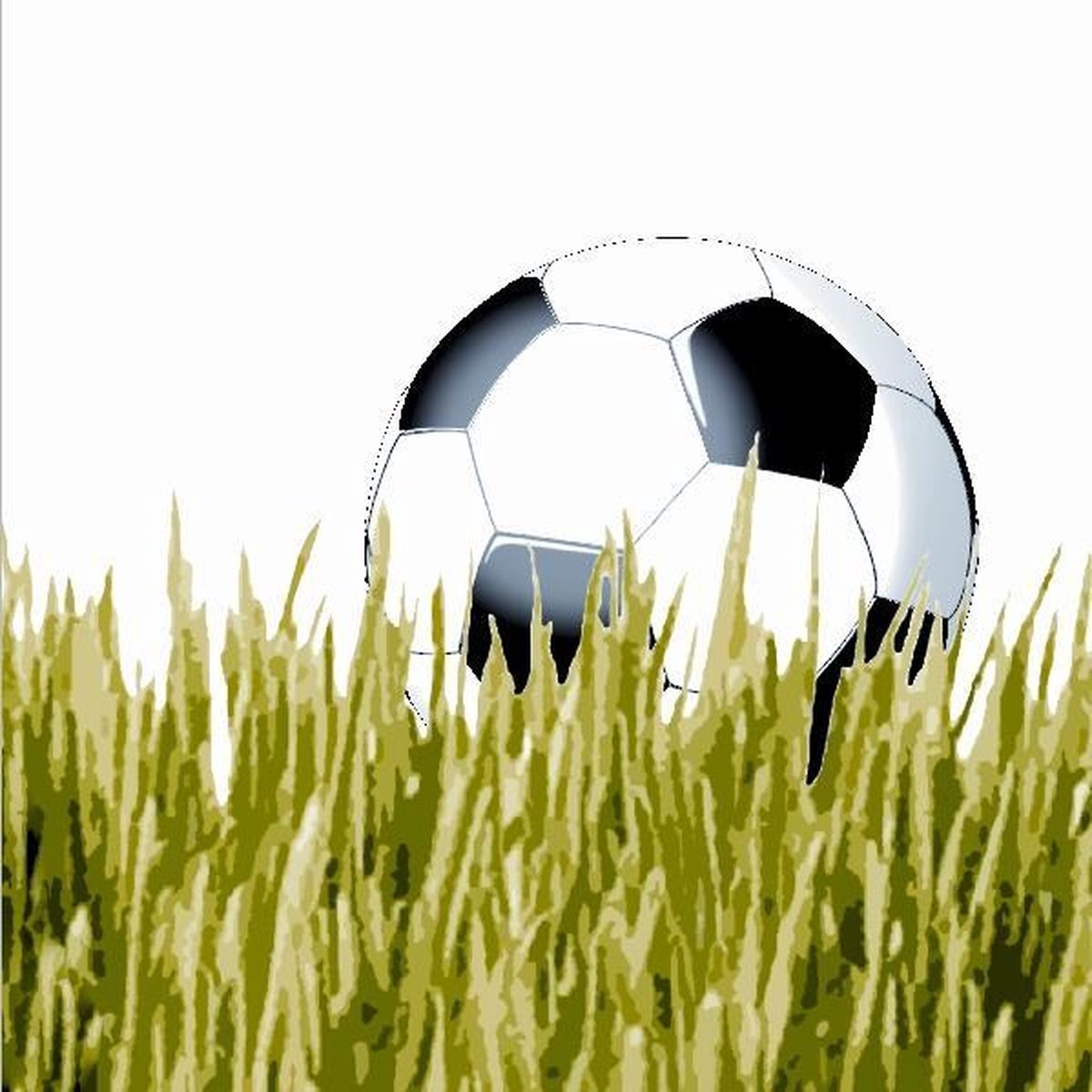 Duni servetten voetbal       @ 20 st