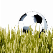 Duni servetten voetbal       @ 20 st