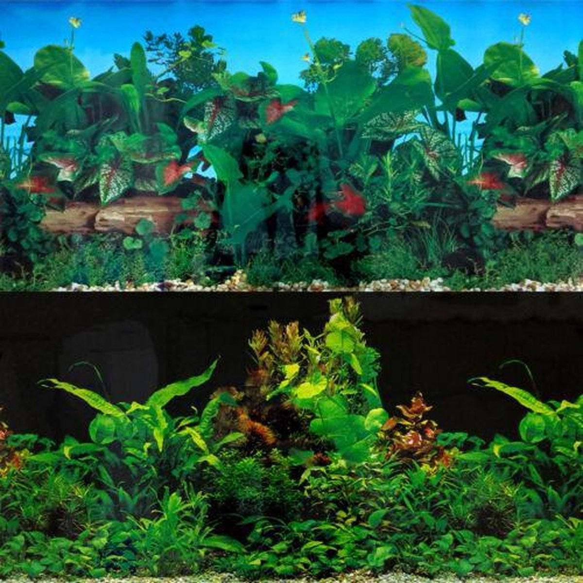 Superfish Poster 3 - 150 x 49cm - Aquarium Decoratie achterwand
