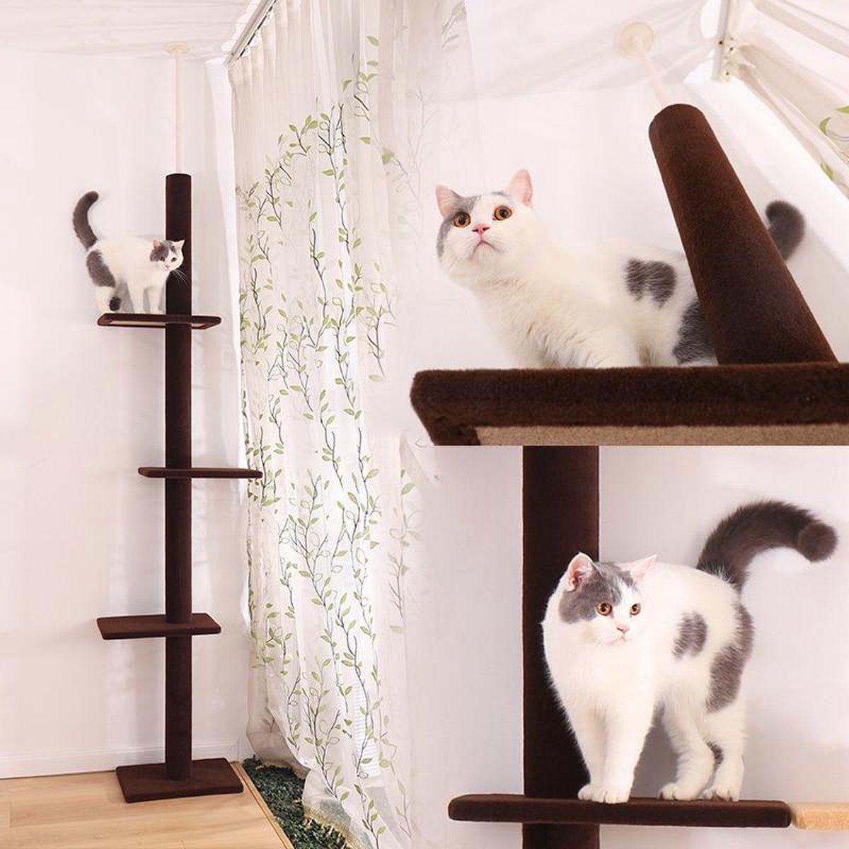 Baymate H228cm Huisdier Krabpaal Speelgoed Condo Kat Klimmen Toren multi-layer Met Hangmat Kat Huis Meubels Krassen Massief houten Post voor Kat AMT0038BN