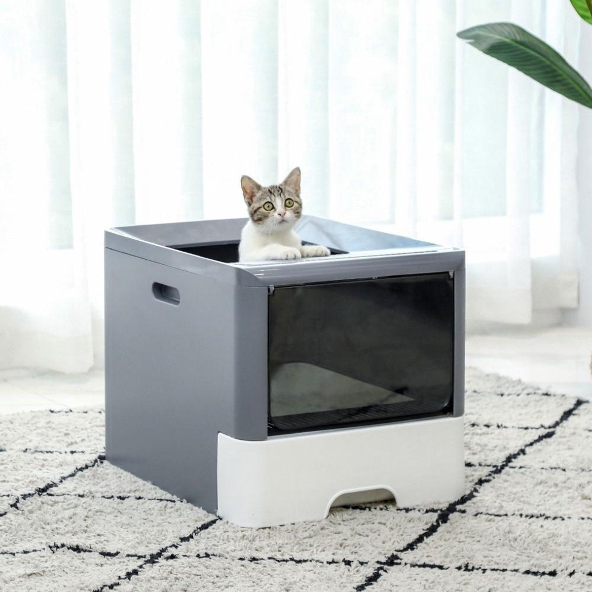 TBG Grote opvouwbare kattenbakpan met deksel Kattenpotje Topinvoertype Anti-spatten Kattenbenodigdheden met huisdier Plastic schep 3 kleurenARQ0063GY