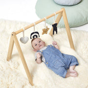 The Little Green Sheep SpeelGym Rainbow Midnight