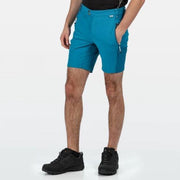 Regatta - Men's Mountain Walking Shorts - Outdoorbroek - Mannen - Maat 56 - Blauw