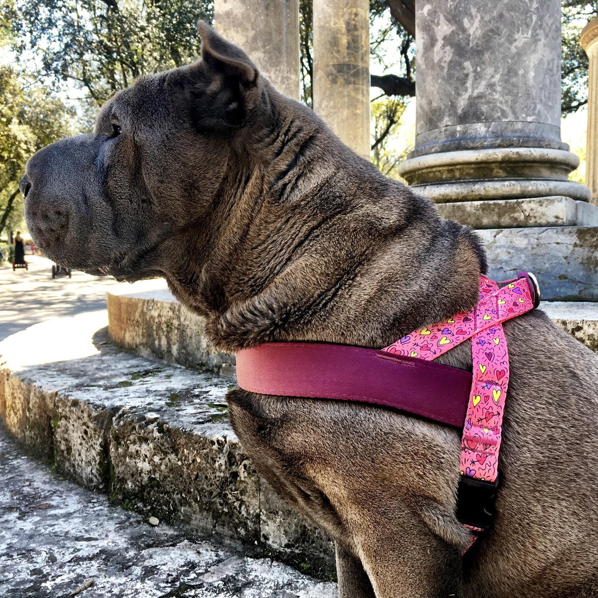 NORVEGIAN HARNESS L | Pink Think