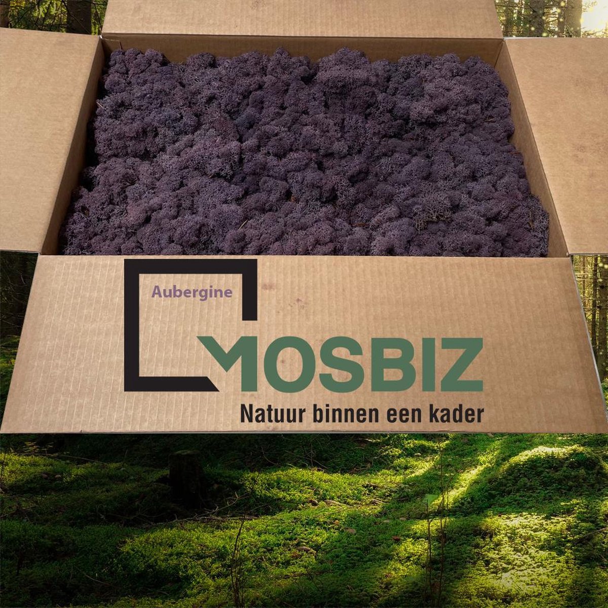 MosBiz Rendiermos Aubergine 2 laags (2