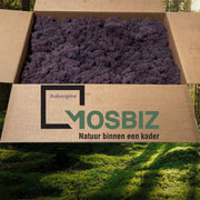 MosBiz Rendiermos Aubergine 2 laags (2