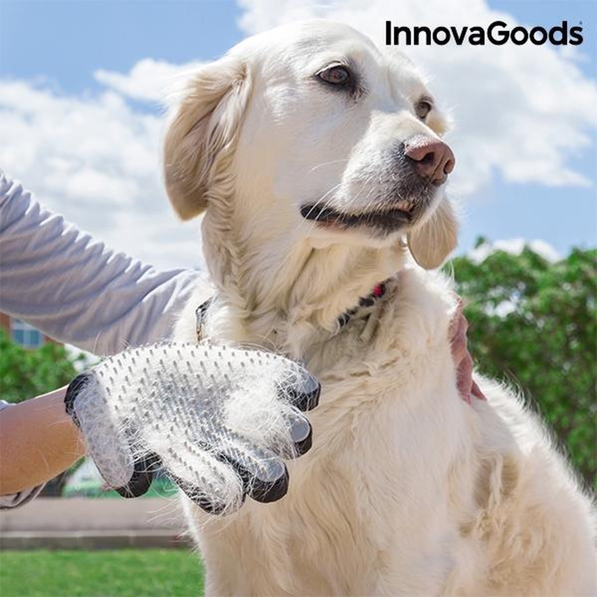 Honden handschoen - InnovaGoods Handschoen om huisdieren te kammen en masseren