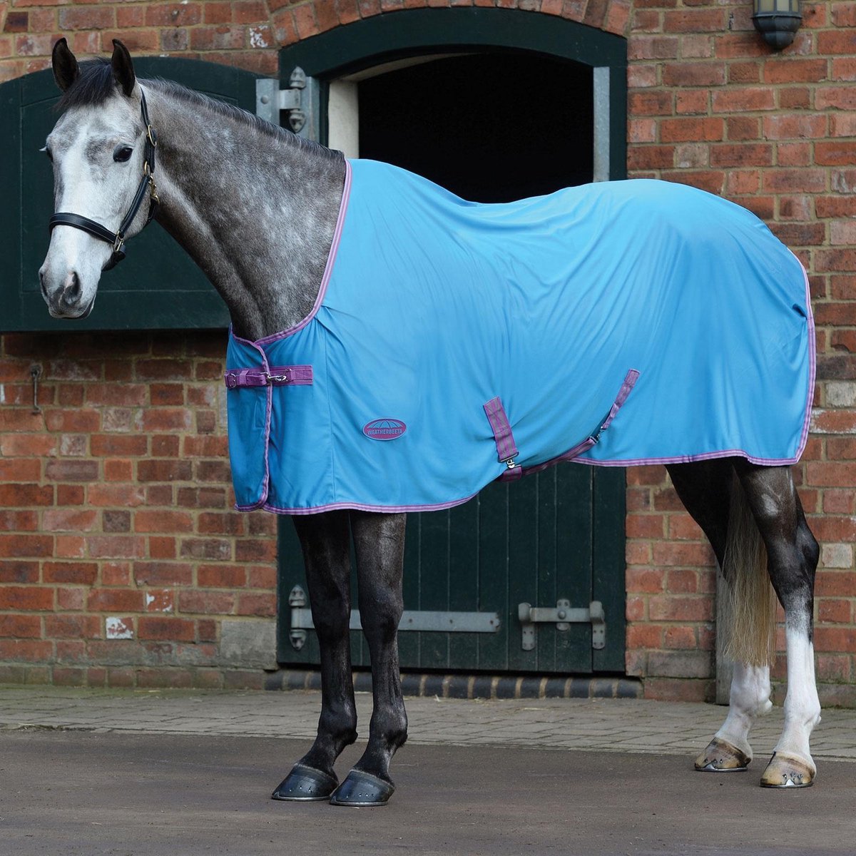 RelaxPets -  Weatherbeeta - Ezi-Dri Cooler - Zweetdeken - Licht Gewicht - Blauw - 175 cm Onderlengte