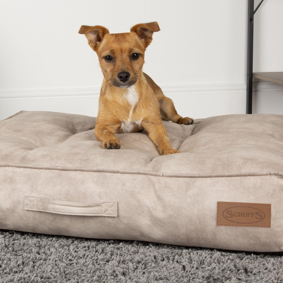 Scruffs Kensington - Stijvol eco-leren hondenkussen  -  in blauw