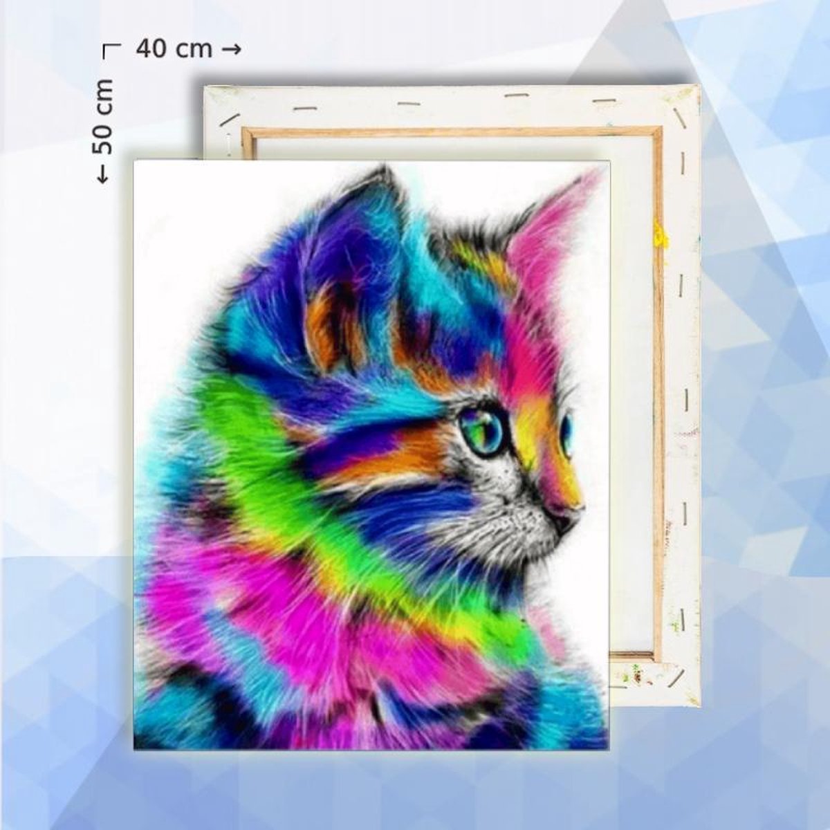 Schilderen op nummer pakket regenboog kitten kat - 40 x 50 cm  - met frame