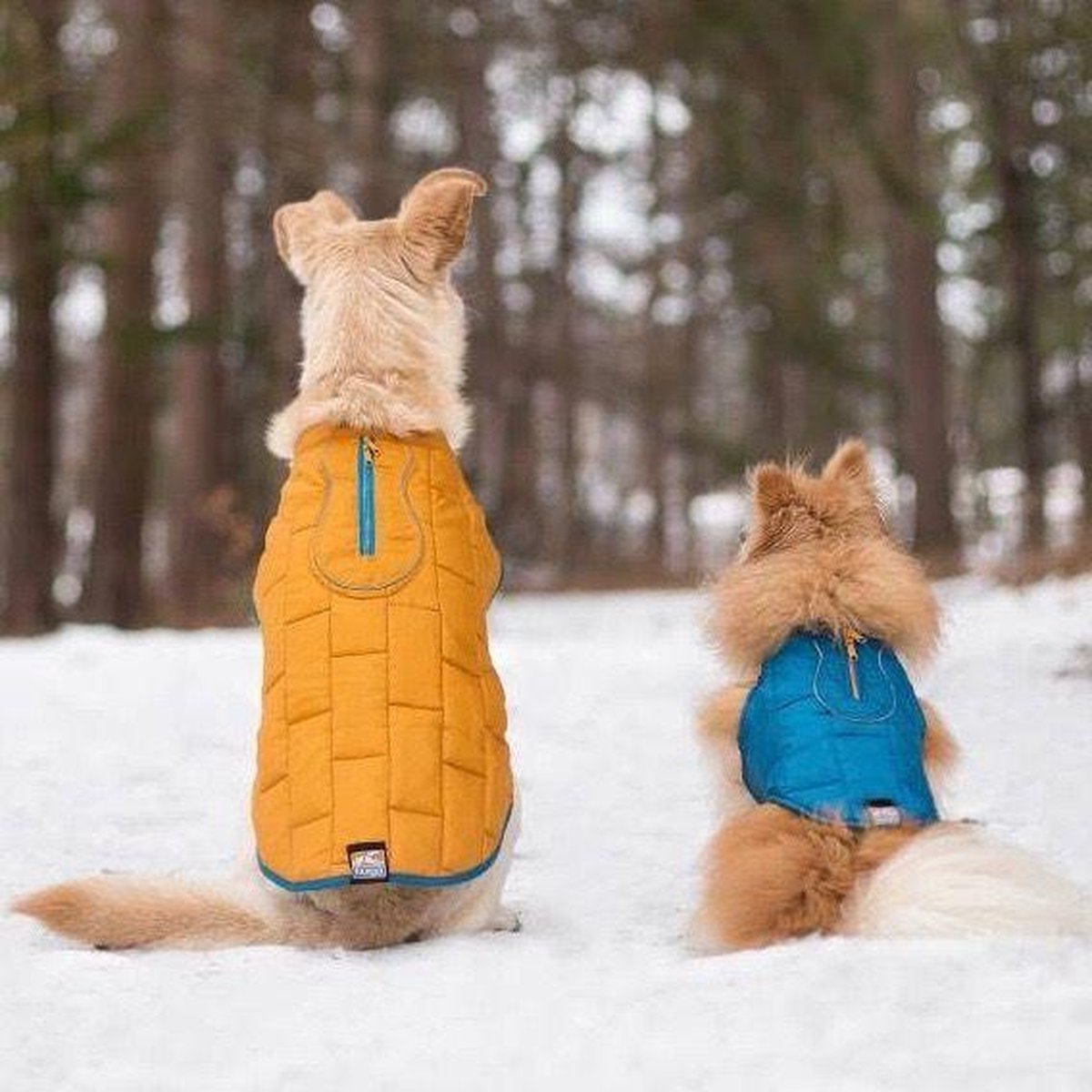Thermo Warme Jas voor Honden - Reversible