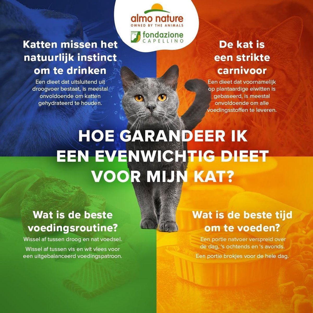 Almo Nature  Natvoer met 100% vers vlees of vis voor Katten - HFC Complete - 24 x 70g - in 4 Smaken - Kip met Wortels - 24 x 70 gram